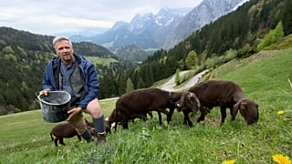 „A boldog gazdák földje”: Miért tűnik zöldebbnek a fű Ausztriában?