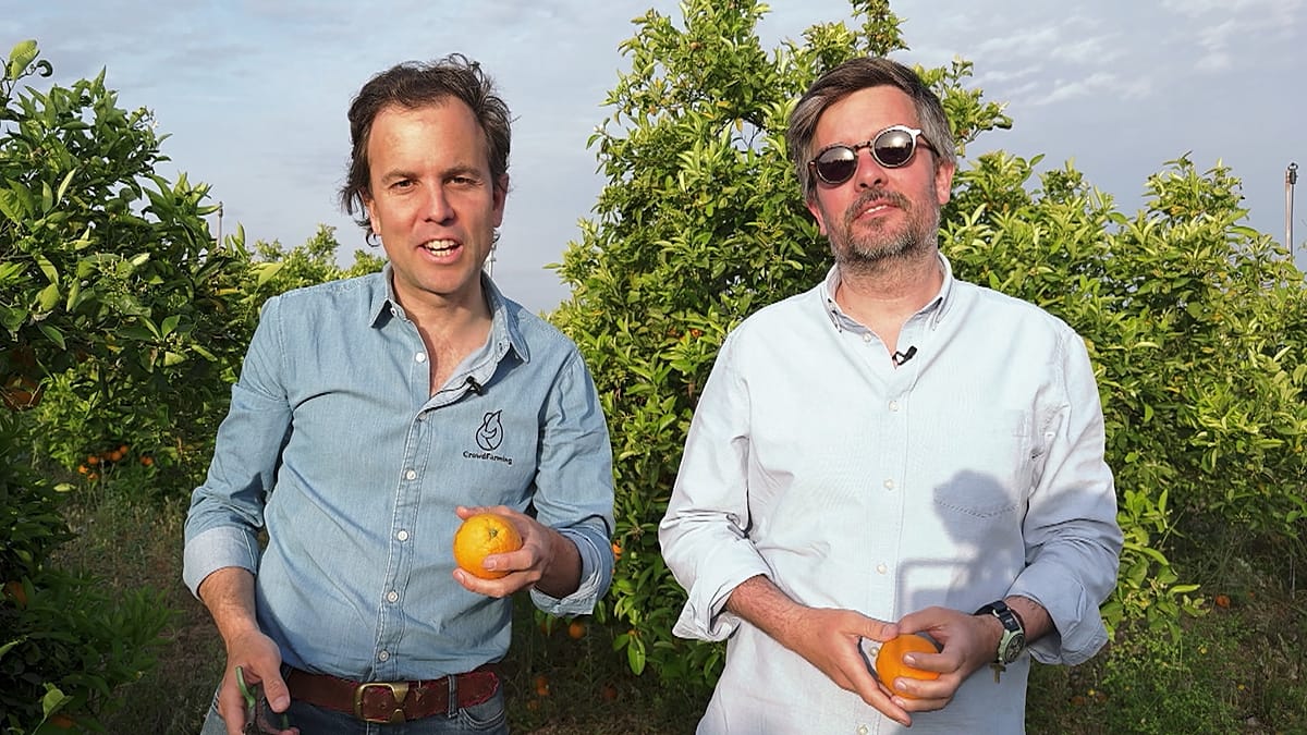 CrowdFarming: the platform that wants to feed Europe better