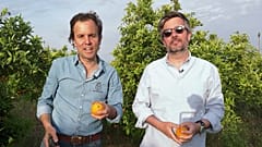 CrowdFarming: Plattform für besseres Essen in Europa