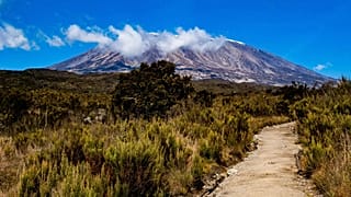 Three airlines are launching routes to Kilimanjaro International Airport from Europe