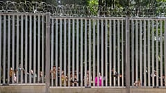 Afghan migrants seeking for asylum at the border between Poland and Belarus