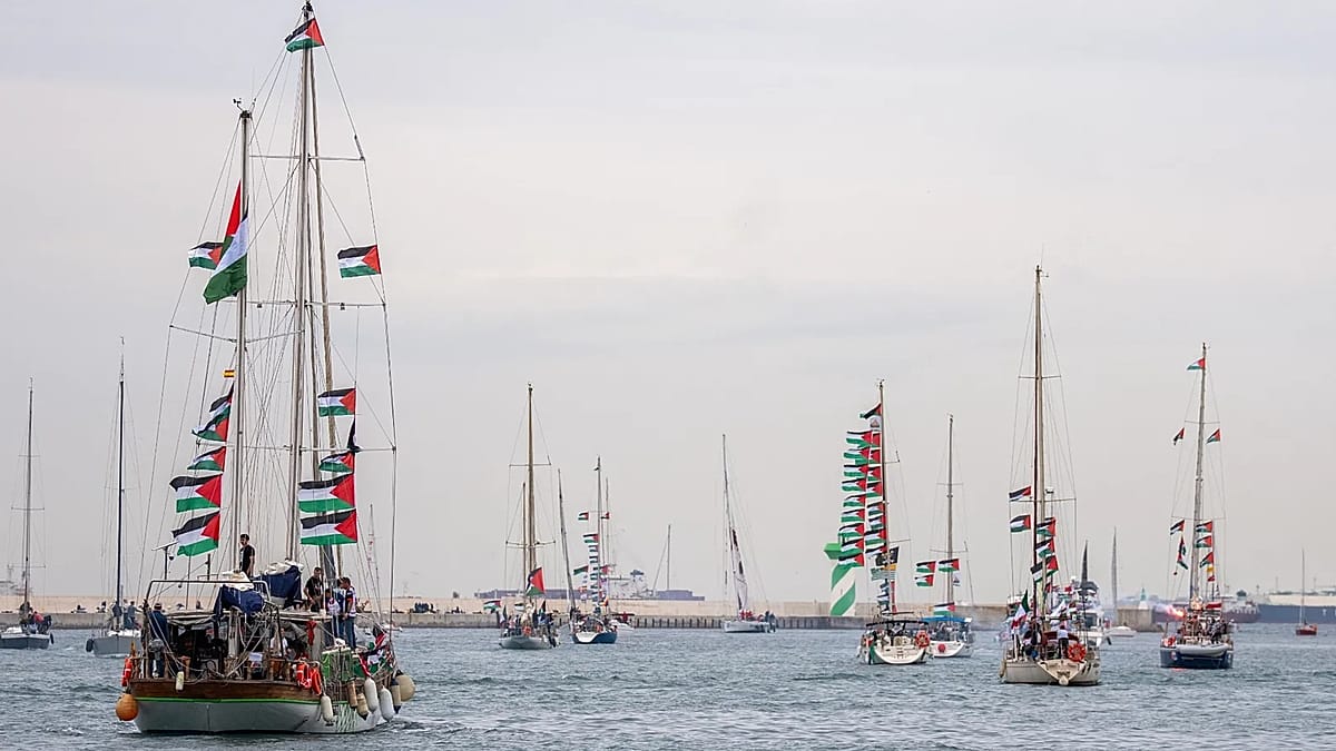 Italy and France slam Israel's treatment of Gaza flotilla activists as 'unacceptable'