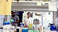 Centro de Investigação do Cancro da Universidade de Hampton - arquivo
