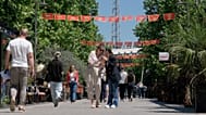 Pedestrians walk on a street decorated with national flags in Montenegro's capital Podgorica, Monday, May 18, 2026.