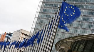 European Union flags flap in the wind outside EU headquarters in Brussels, Tuesday, May 12, 2026.