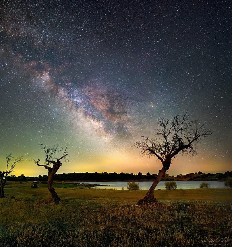 Corazón de la Vía Láctea abrazando los árboles de los campos de Dark Sky Alqueva