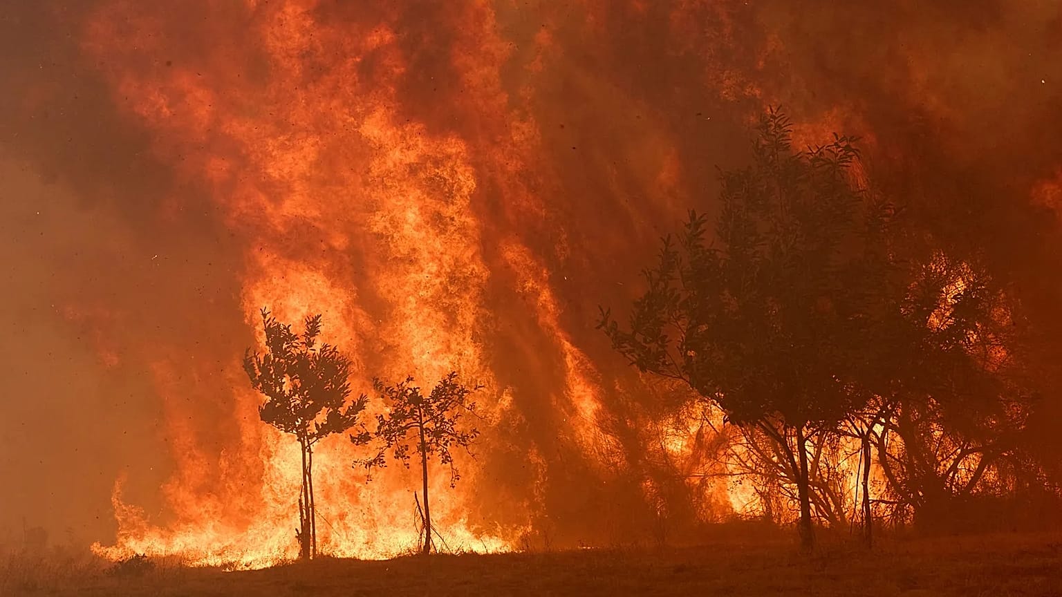 A wildfire burns out of control in a forest near Rebordondo village near Ourense, 18 August, 2025