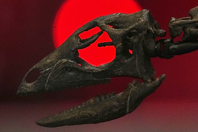 London museum unveils jurassic ocean giants