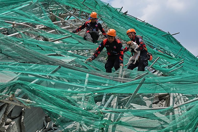 Rescuers carry a dog as they scale down toppled scaffoldings of a collapsed building in Angeles city, 25 May, 2026