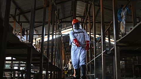 A sanitation worker from the Bunia city government disinfects the central market, as Ituri province continues to combat an Ebola outbreak, in Bunia, Congo, May 23, 2026.