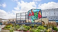 WUF13