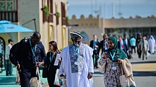 wuf13