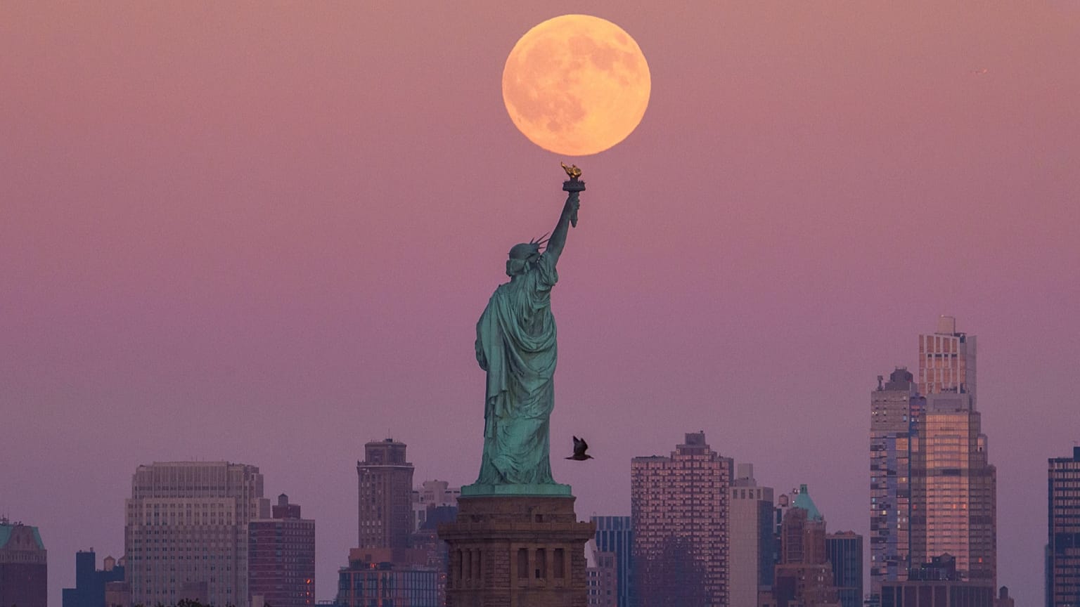 La Statua della Libertà e lo skyline di Brooklyn a New York