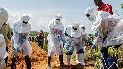 L'Ebola actuel est différent du précédent