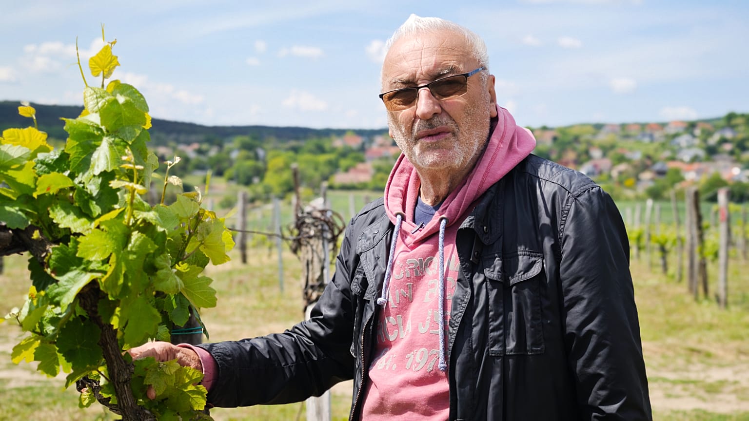 Szentesi József nadapi szőlőjében