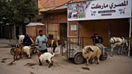 Los vendedores llevan sus ovejas y cabras al mercado de ganado antes de la próxima festividad de Eid al Adha en Deir al Balah