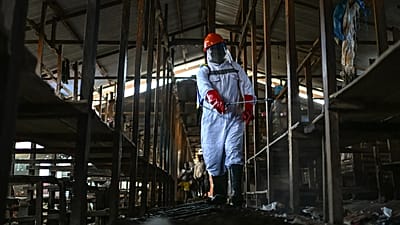 Ebola en RDC : pourquoi l’épidémie est difficile à maîtriser