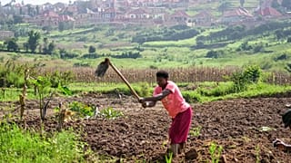 Recurring landslides in northern Rwanda destroy land and farmland