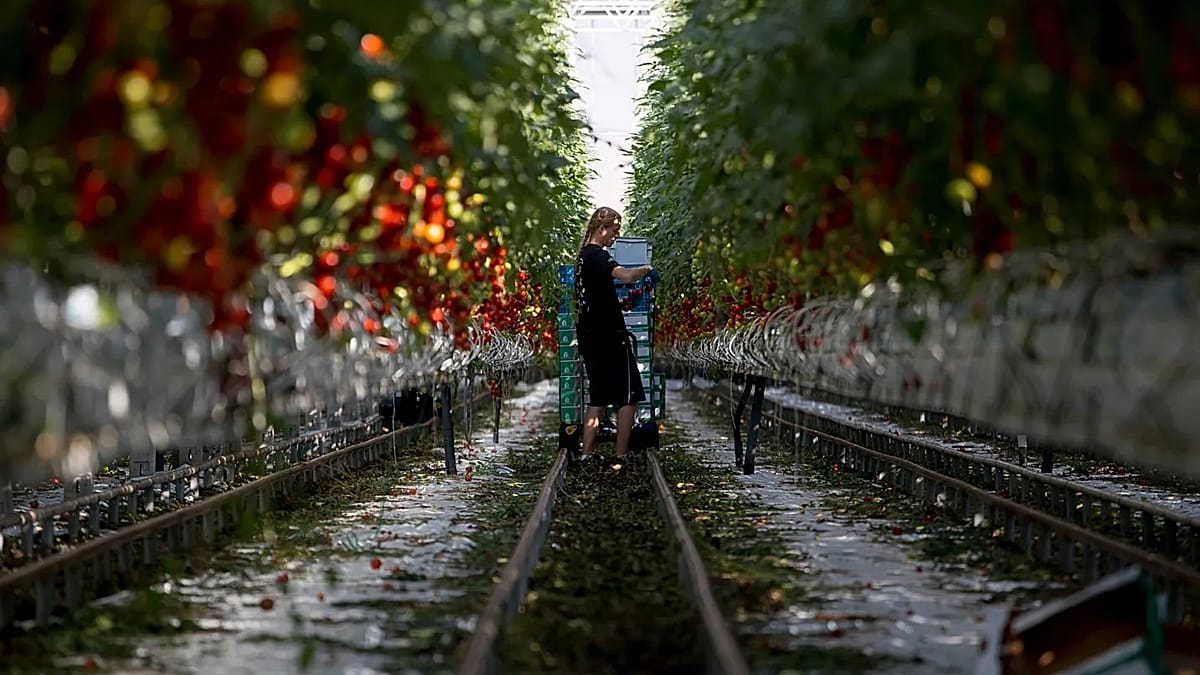 Sixteen EU countries seek more regional funds in long-term budget Sixteen EU countries seek more regional funds in long-term budget