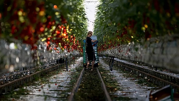 Sixteen EU countries ask for more funds for agriculture and fisheries in next long-term budget