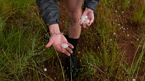 Tony Illenden, a member of Northern Illinois University's Husky Hail Hunter team, picks up hail during a Project ICECHIP operation June 6, 2025, near Morton, Texas.