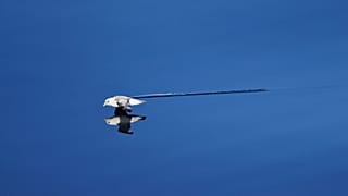 Greenpeace et des scientifiques indépendants à bord diffusent en direct depuis 3000 mètres de profondeur jusqu’au 30 mai