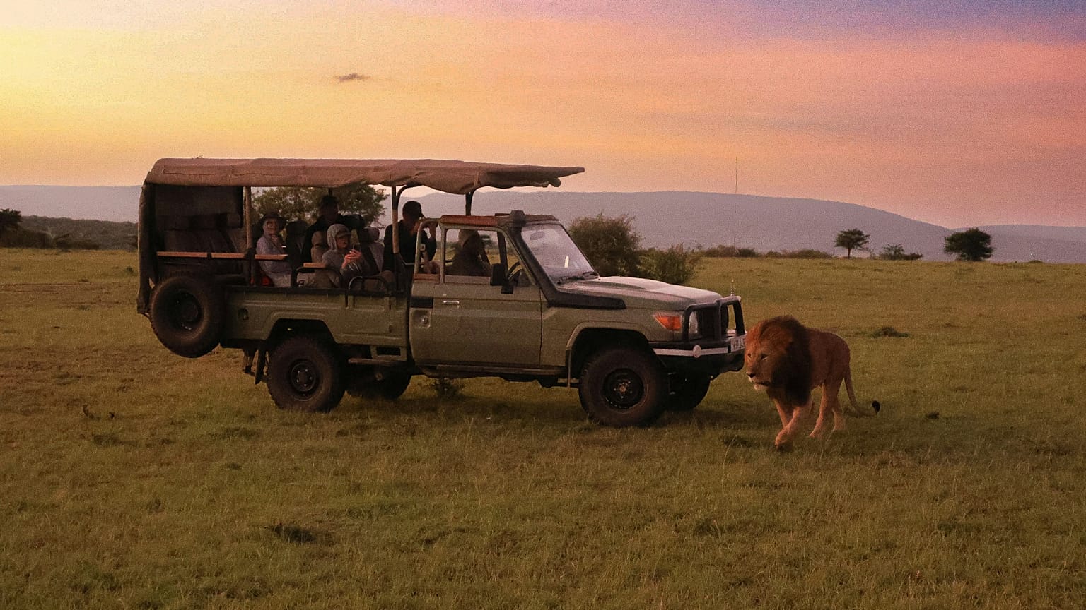 The openings across Africa offer a new way to experience safari on the continent
