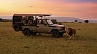 The openings across Africa offer a new way to experience safari on the continent