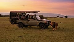 Neue Lodges in Afrika: Safaris jetzt anders erleben