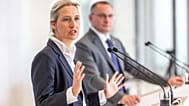 Der AfD-Spitze dürfte es kaum gefallen, dass eine Politikerin der Partei zu einem rechtsextremen Remigraiontsgipfel reist