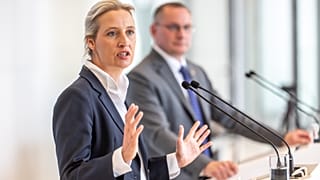 Der AfD-Spitze dürfte es kaum gefallen, dass eine Politikerin der Partei zu einem rechtsextremen Remigraiontsgipfel reist