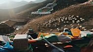 عکس تزئینی از گوسفندان در کوهستانی واقع در چین 