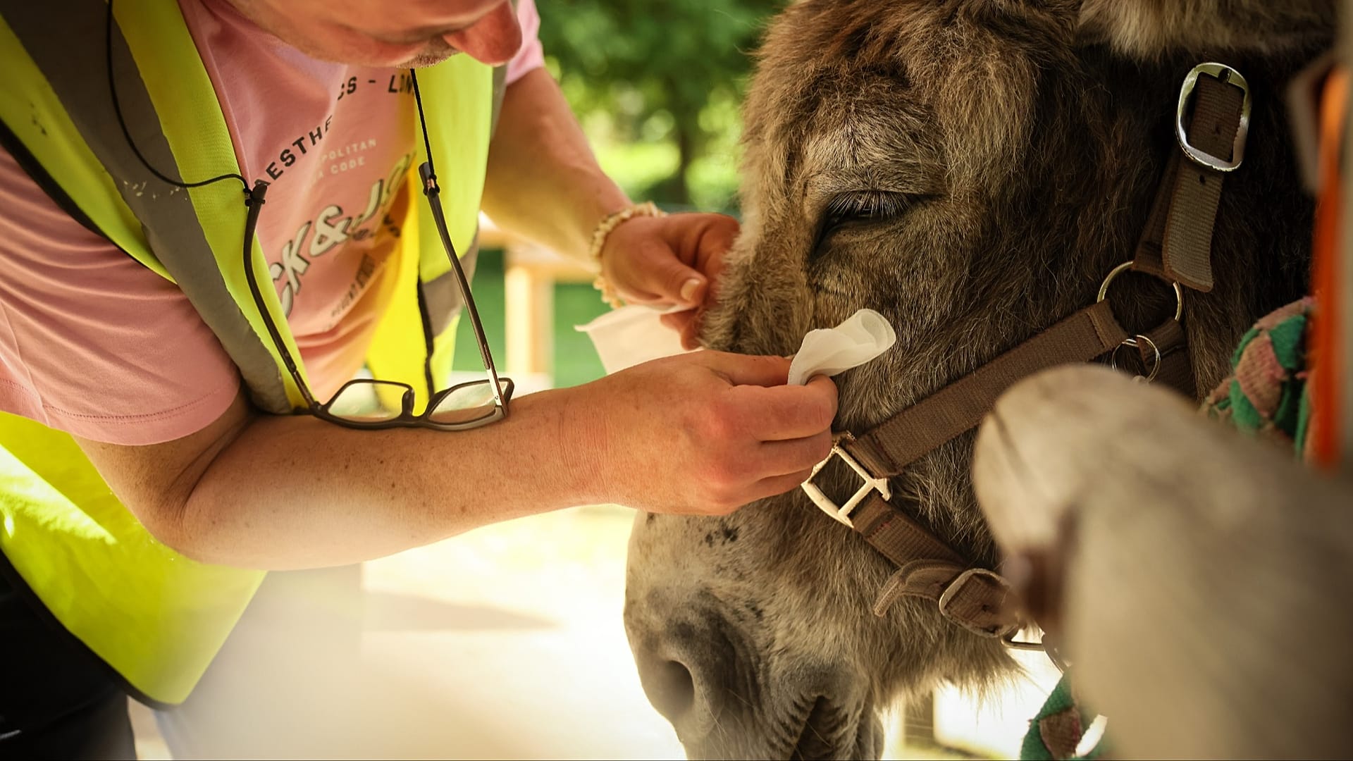 ARCHIVIO - Un paziente con disturbi mentali pulisce gli occhi di un asino durante una seduta di pet therapy. Parigi, 29 maggio 2026.