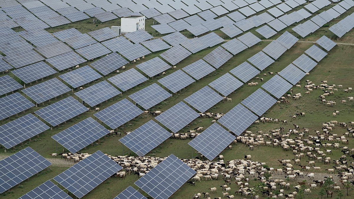 Massive China subsidies distorting markets, OECD says Massive China subsidies distorting markets, OECD says