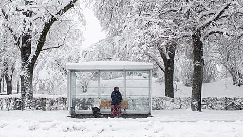 Waiting for the bus (illustrative image)