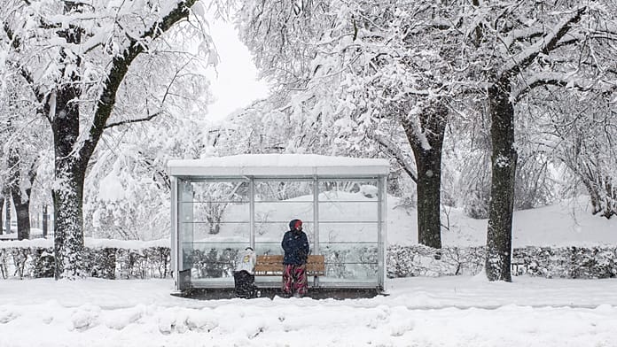 Bus to nowhere? City sends 'Line Zero' onto the streets