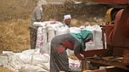 ARCHIVO Un agricultor supervisa un molino de trigo en una granja de la provincia de El Sharqia, en el delta del Nilo, Egipto, en mayo de 2022.