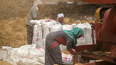 FILE. A farmer monitors a wheat mill on a farm in the Nile Delta province of al-Sharqia, Egypt, May 2022