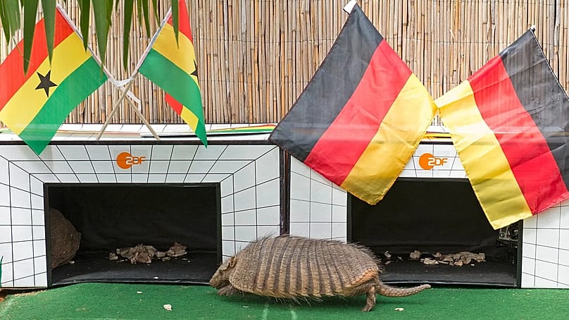 Die TV-Vorhersage vom Erfurter Gürteltier Taka ging ins Leere, denn nach dem Unentschieden wurde der Tipp des Orakels nie veröffentlicht.