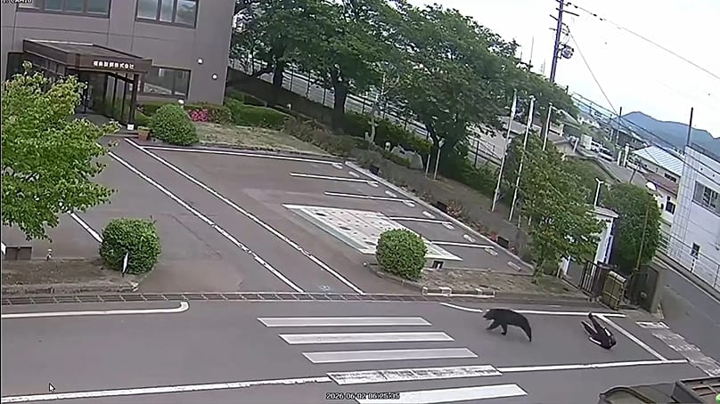 This image made from the security camera footage provided by the Fukushima Steel Works shows a bear chasing a person on its premises in Fukushima, 2 June, 2026