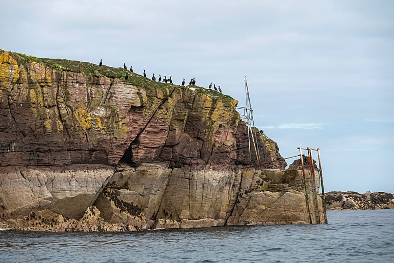 La isla alberga una gran riqueza de fauna