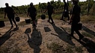  Italy Farmworkers Heat,  Sept. 16, 2020  (AP Photo/Alessandra Tarantino)