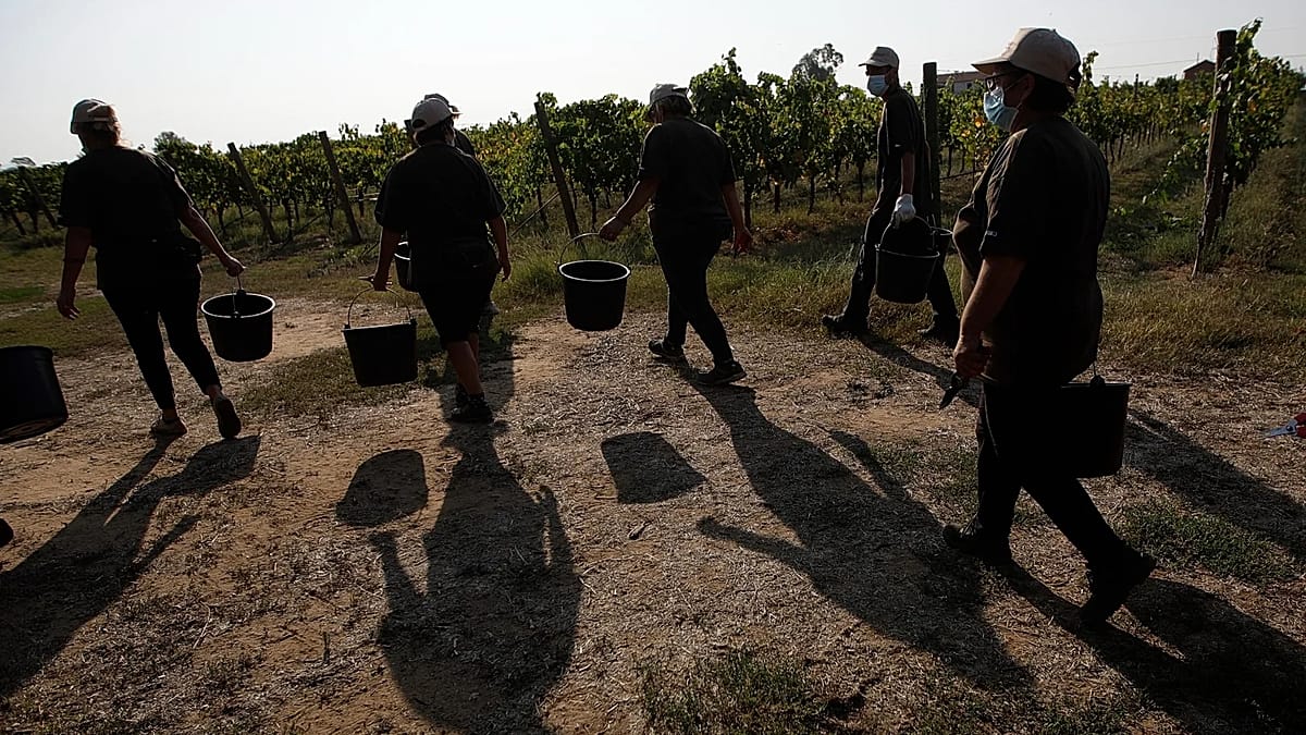 Gangmasters and extreme violence: Four farm workers burned to death in Italy