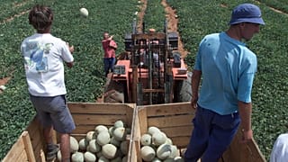 South Africa's white enclave drawing more young Afrikaners