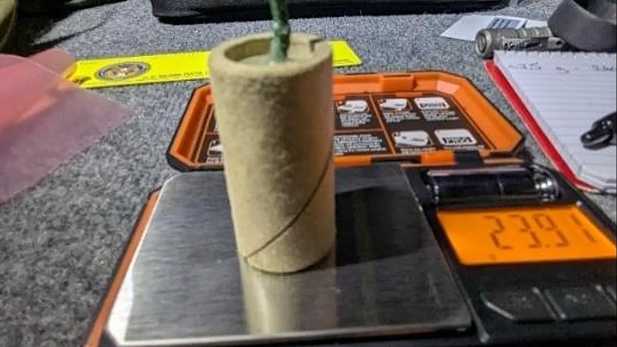 Man charged with bringing bomb in his carry-on bag to a California airport