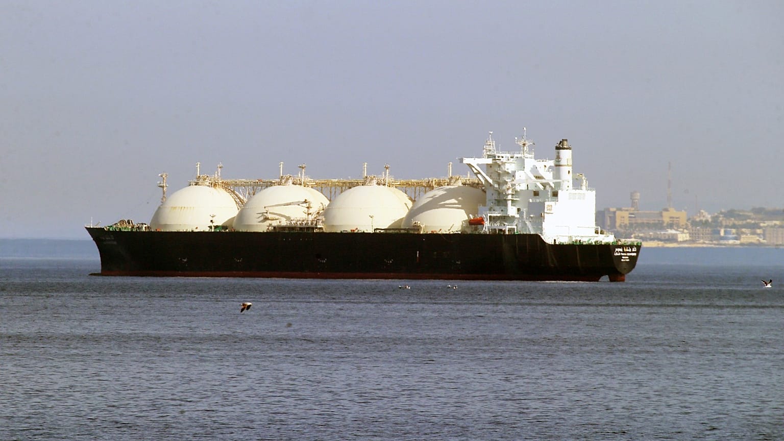شركة الطاقة الجزائرية "هيبروك شيبينغ" لنقل الغاز الطبيعي المسال (LNG) «لالا فاطمة نسومر» تصل إلى ميناء الجزائر يوم الثلاثاء 26 أكتوبر 2022. 