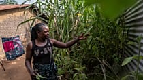 Ebola en RDC : les rumeurs et la méfiance persistent 