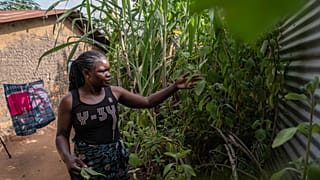 Ebola en RDC : les rumeurs et la méfiance persistent 