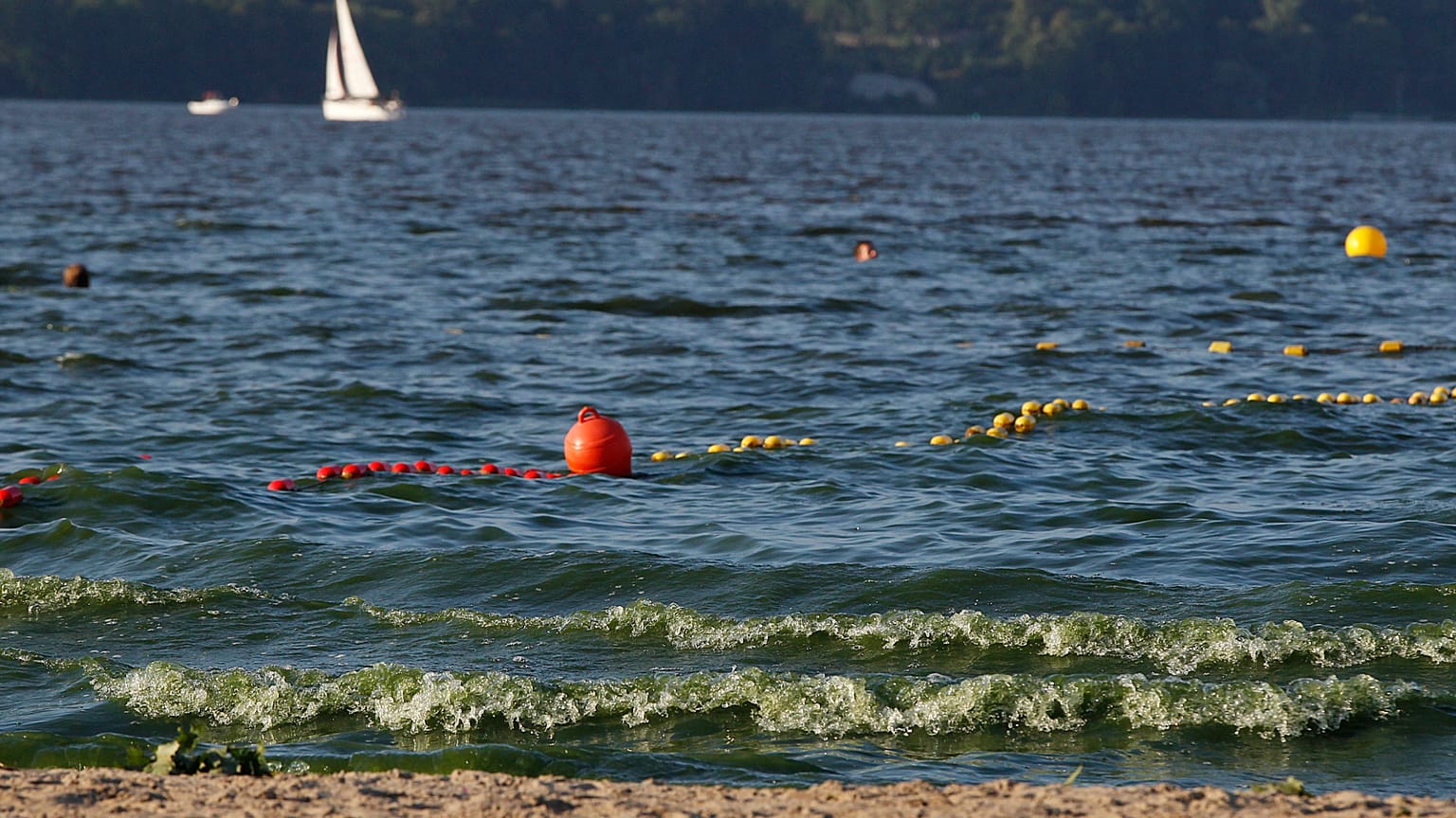 Archiv. BU: Polen verbietet Baden an mehr als 50 Ostseestränden wegen giftiger Bakterien infolge der Hitzewelle.
