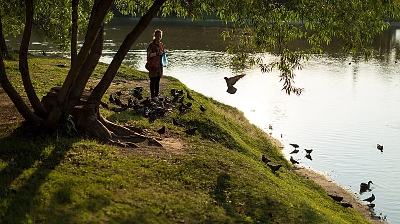 Das Füttern von Enten ist an deutschen Badeseen meist verboten. Bei einer Überpopulation ist die Wasserqualität gefährdet.